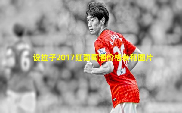 设拉子2017红葡萄酒价格表和图片
