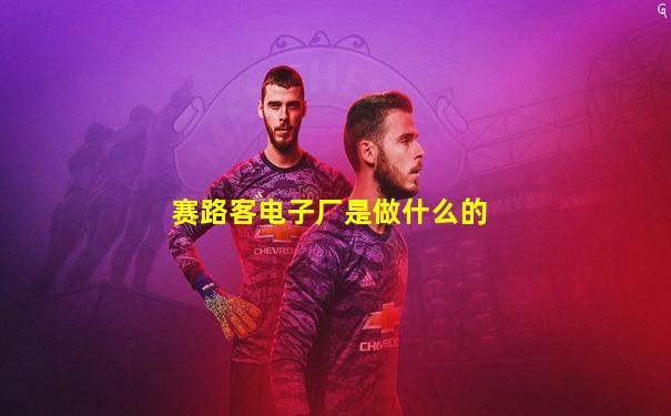 赛路客电子厂是做什么的