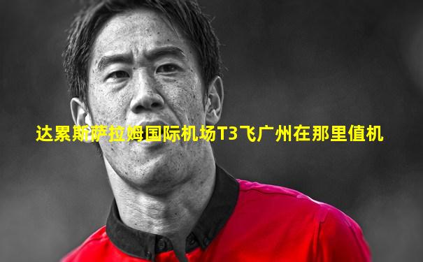 达累斯萨拉姆国际机场T3飞广州在那里值机