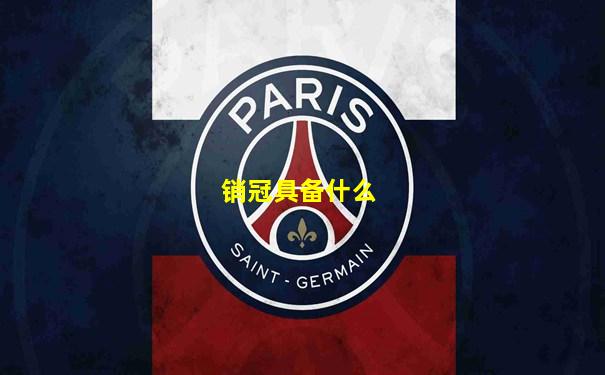 销冠具备什么